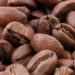 How We Export Premium Coffee, Simsim, and Sunflower Seeds