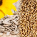The Global Demand for Coffee, Simsim, and Sunflower: Market Trends
